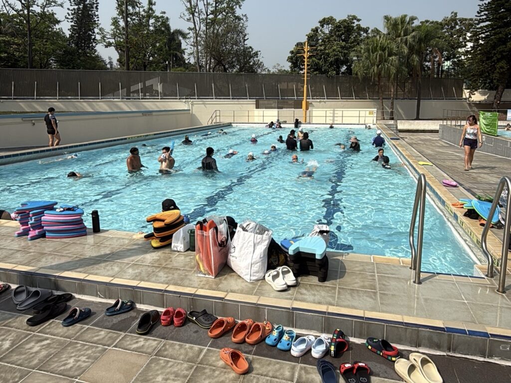 荔枝角公園游泳池全攻略：2026 開放時間、暖水設施、交通與泳客實測貼士