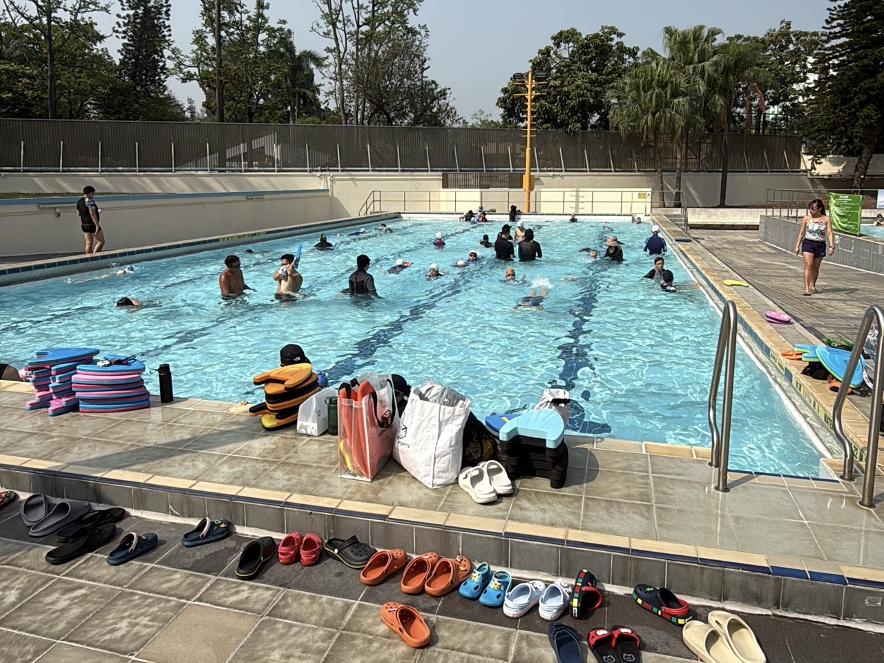 荔枝角公園游泳池全攻略：2026 開放時間、暖水設施、交通與泳客實測貼士